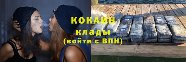 молекула духа Магадан