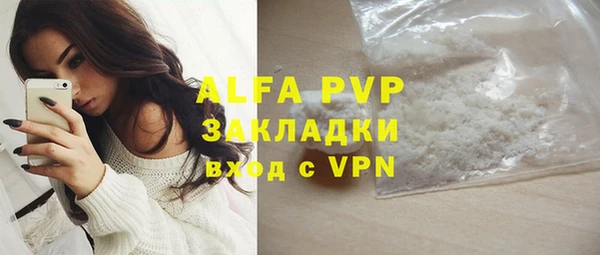 PSILOCYBIN Майский