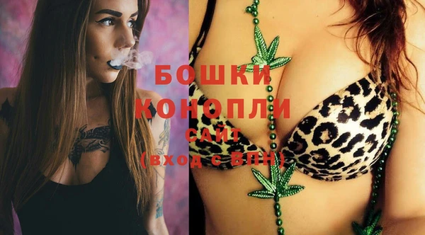 PSILOCYBIN Майский