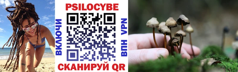 Купить закладки  Северо-Курильск  Галлюциногенные грибы Magic Shrooms 